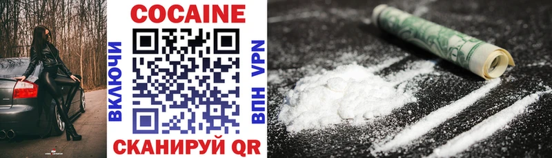 где продают наркотики  MEGA ссылки  COCAIN Fish Scale  Абакан 
