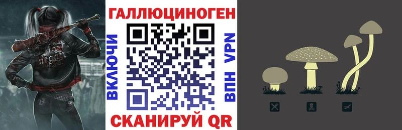 Галлюциногенные грибы Psilocybine cubensis  Абакан 