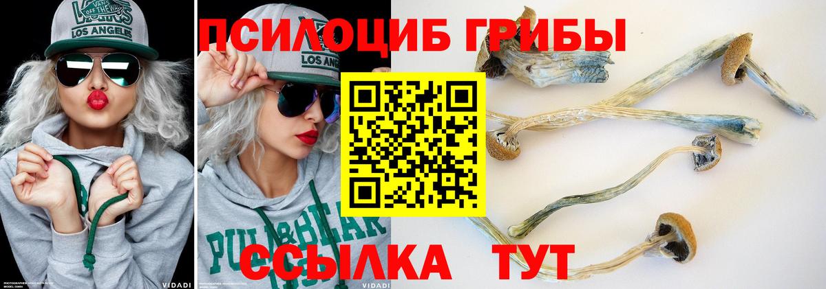 Абакан  Псилоцибиновые грибы прущие грибы  даркнет сайт  Вход с VPN 